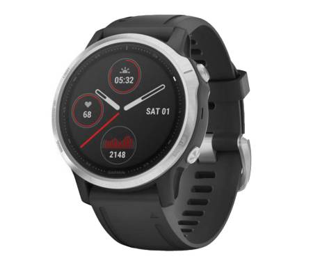 Спортивные часы Garmin Fenix 6S Silver (010-02159-01)