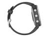 Спортивные часы Garmin Fenix 6S Silver (010-02159-01)