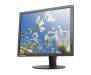 Монитор Lenovo ThinkVision T1714P (60FELAT1EU)