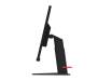 Монитор Lenovo ThinkVision T25m-10 (61DCRAT1EU)