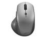 Мышь Lenovo ThinkBook Media Mouse (4Y50V81591)