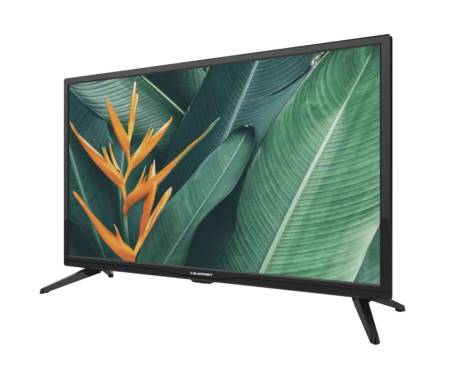 Телевизор Blaupunkt BLA-55/405V