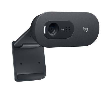 Веб-камера Logitech HD Webcam C505 (960-001364)