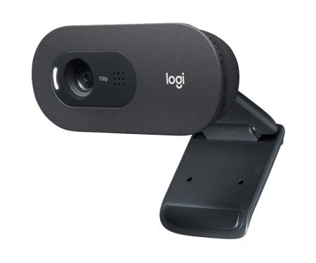 Веб-камера Logitech HD Webcam C505 (960-001364)