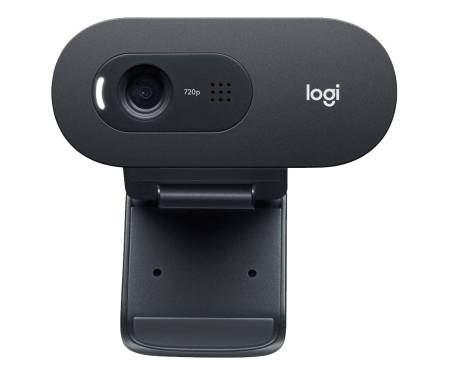 Веб-камера Logitech HD Webcam C505 (960-001364)