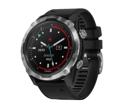 Смарт-часы Garmin Descent Mk2 Stainless Steel with Black Band (010-02132-00)