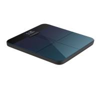 Весы напольные Amazfit Smart Scale (A2003)