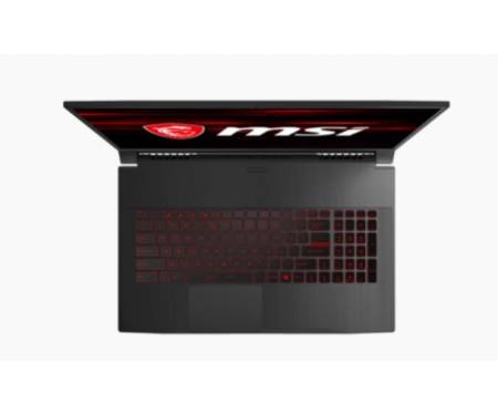 Ноутбук MSI GF75 Thin 10SDK (GF7510SDK-245US)