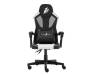 Кресло для геймеров 1stPlayer P01 Black-White