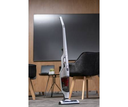Gorenje SVC216GFW