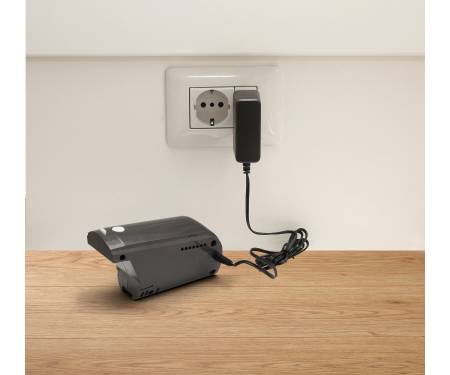Gorenje SVC216GFW
