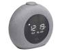 JBL Horizon 2 Hotel Gray