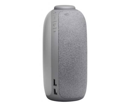 JBL Horizon 2 Hotel Gray