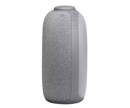 JBL Horizon 2 Hotel Gray