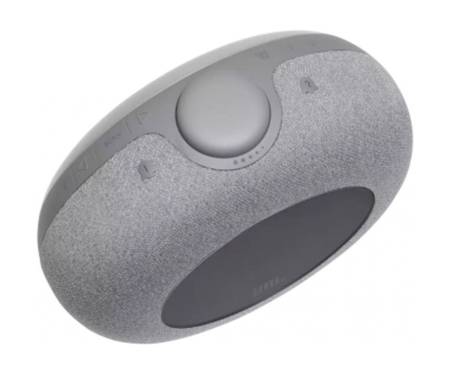 JBL Horizon 2 Hotel Gray