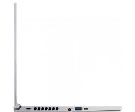Ноутбук Acer Predator Triton 300 PT314-51s (NH.QBJEU.009)