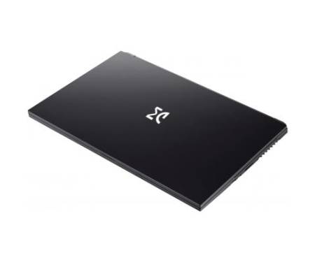 Ноутбук Dream Machines G1650TI-17 (G1650TI-17UA53)