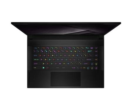 Ноутбук MSI GS66 Stealth 10UG (GS6610UG-075US)