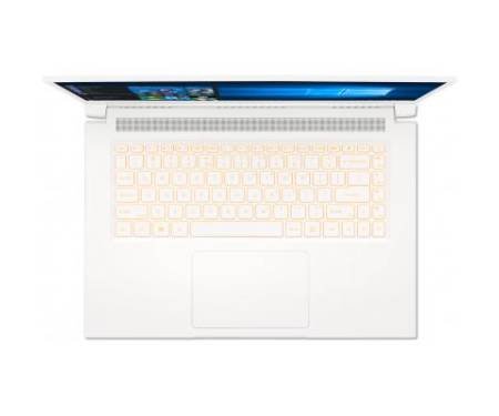 Ноутбук Acer ConceptD 3 CN315-72G (NX.C5YEU.006)
