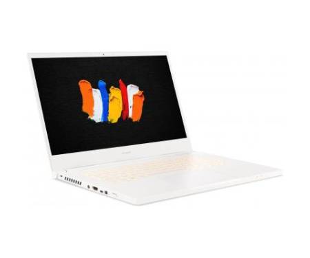 Ноутбук Acer ConceptD 3 Pro CN315-72P (NX.C5ZEU.007)