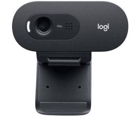 Веб-камера Logitech Webcam C505 HD (960-001372)