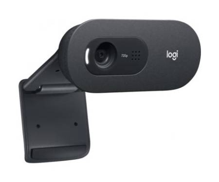 Веб-камера Logitech Webcam C505 HD (960-001372)