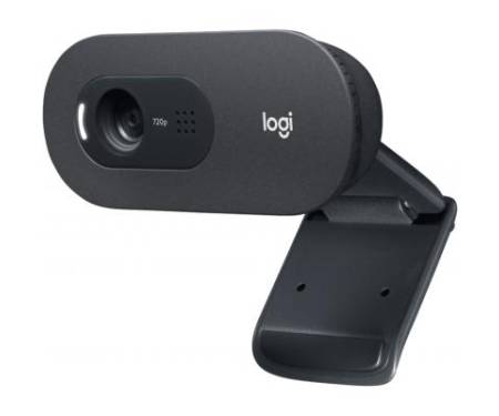 Веб-камера Logitech Webcam C505 HD (960-001372)