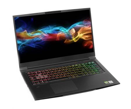 Ноутбук EVOO Gaming Laptop 17 (EG-LP9-BK)