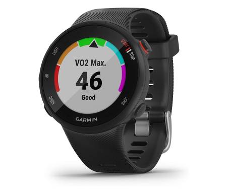 Спортивные часы Garmin Forerunner 45s Black (010-02156-12/010-02156-10)