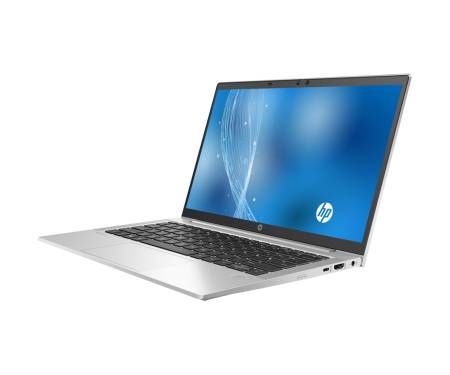 Ноутбук HP ProBook 635 Aero G7 Silver (2W8S5EA)