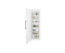 morozilnaya-kamera-electrolux-rut5nf28w1