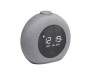 Колонка JBL Horizon 2 Gray (JBLHORIZON2GRYEU)