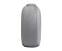 Колонка JBL Horizon 2 Gray (JBLHORIZON2GRYEU)