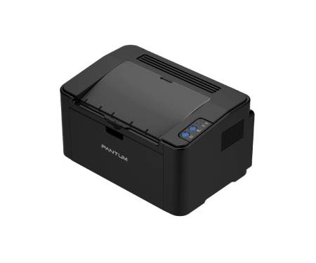 Pantum P2207