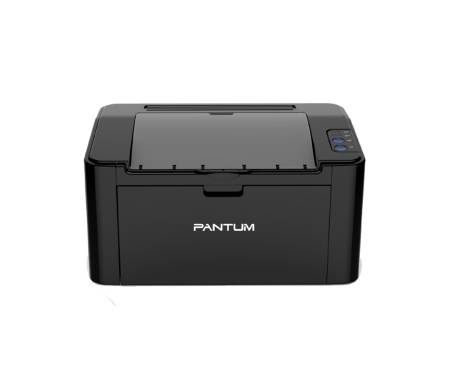 Pantum P2207
