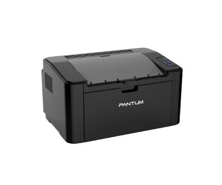 Pantum P2207
