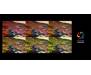 Acer Монитор 27" KA272BI