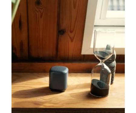 Акустическая система PHILIPS TAS1505B Black (TAS1505B/00)