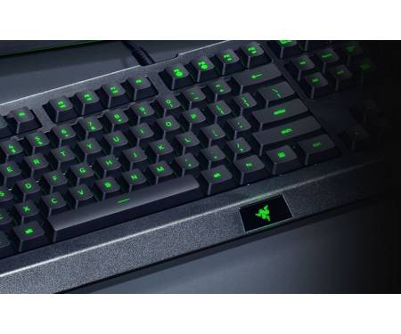 Razer Cynosa Lite USB US RGB
