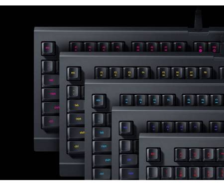 Razer Cynosa Lite USB US RGB