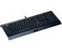 Razer Cynosa Lite USB US RGB