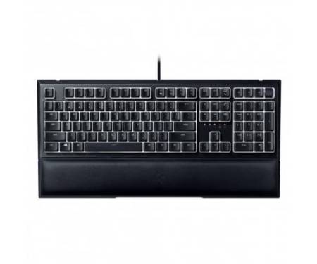 Клавиатура Razer Ornata V2 RU (RZ03-03380700-R3R1)