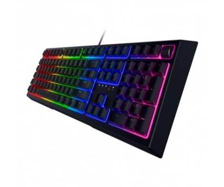 Клавиатура Razer Ornata V2 RU (RZ03-03380700-R3R1)