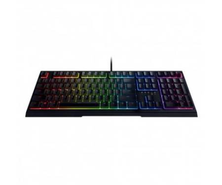 Клавиатура Razer Ornata V2 RU (RZ03-03380700-R3R1)
