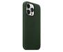 Чохол для Apple iPhone 13 Pro Leather Case with MagSafe - Sequoia Green (MM1G3)