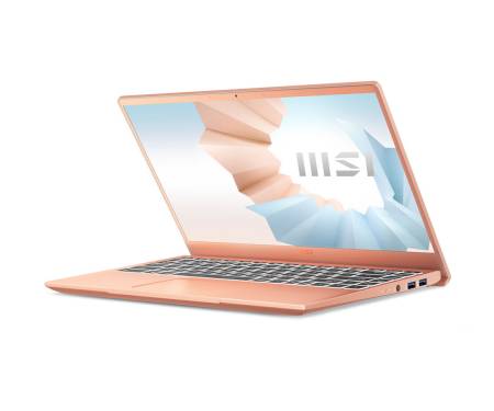 Ноутбук MSI Modern 14 B11SB Ultra Thin (B11SB-290)