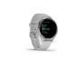 Смарт-часы Garmin Venu 2S Silver Stainless Steel Bezel with Mist Gray Case and Silicone Band (010-02429-12)