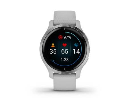 Смарт-часы Garmin Venu 2S Silver Stainless Steel Bezel with Mist Gray Case and Silicone Band (010-02429-12)