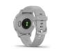 Смарт-часы Garmin Venu 2S Silver Stainless Steel Bezel with Mist Gray Case and Silicone Band (010-02429-12)
