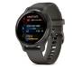 Смарт-часы Garmin Venu 2S Slate Bezel with Graphite Case and Silicone Band (010-02429-10)